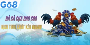 da-ga-cua-dao-go8