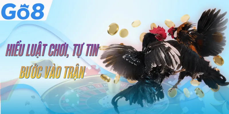 Đá Gà Cựa Dao GO8 | Sàn Đấu Kịch Tính, Tốc Độ Xem 4K 3 da-ga-cua-dao-go8-luat