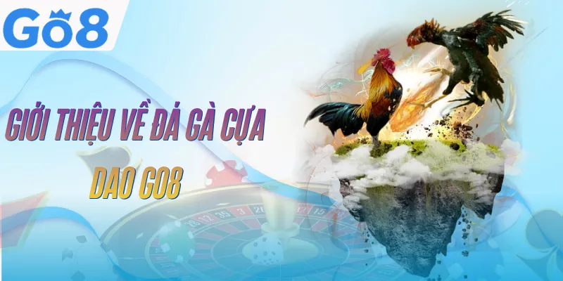 Đá Gà Cựa Dao GO8 | Sàn Đấu Kịch Tính, Tốc Độ Xem 4K 2 da-ga-cua-dao-go8-tong-quan