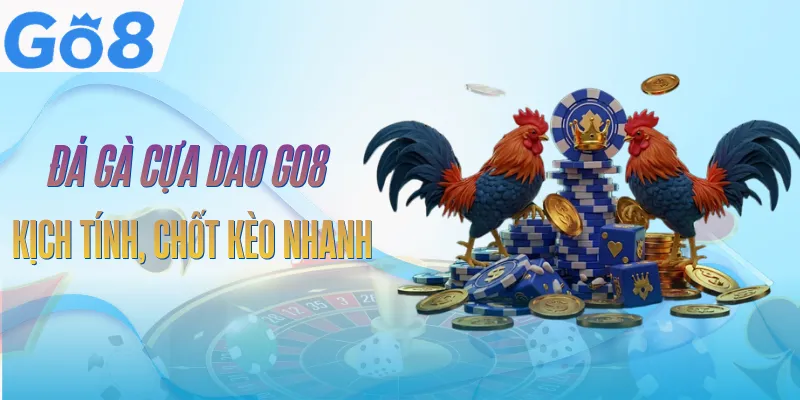 Đá Gà Cựa Dao GO8 | Sàn Đấu Kịch Tính, Tốc Độ Xem 4K 1 da-ga-cua-dao-go8