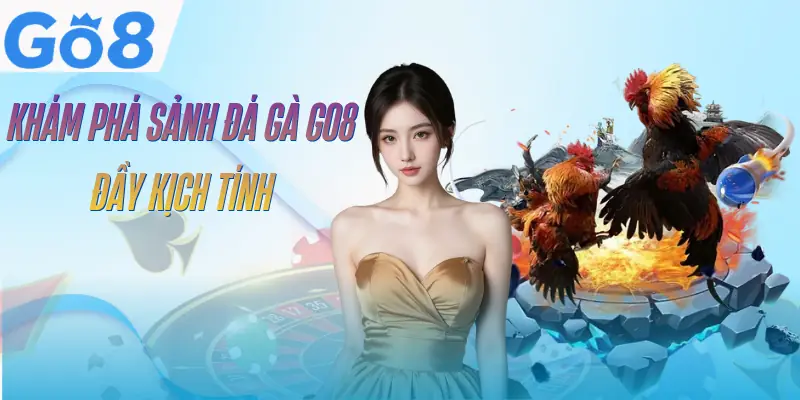 Đá Gà GO8 - 3 Hình Thức So Tài Đầy Kịch Tính Và Quyết Liệt 1 da-ga-go8-gioi-thieu