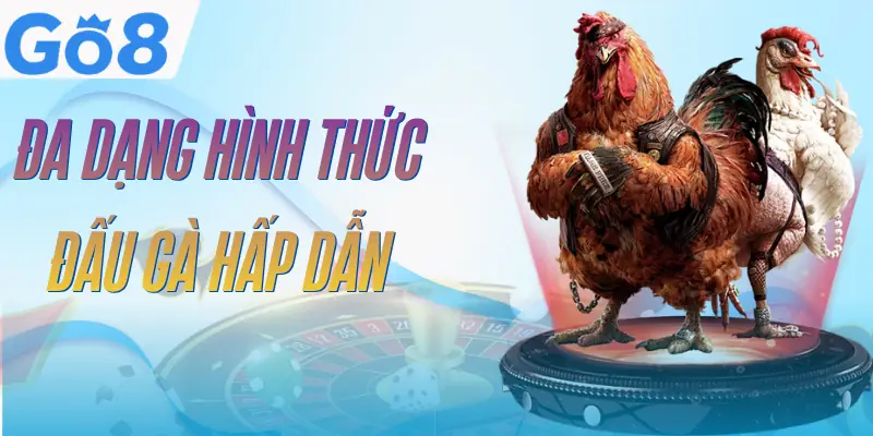 Đá Gà GO8 - 3 Hình Thức So Tài Đầy Kịch Tính Và Quyết Liệt 2 da-ga-go8-hinh-thuc