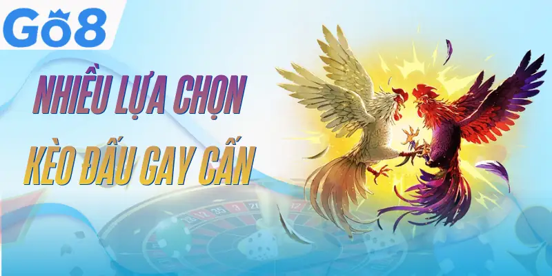 Đá Gà GO8 - 3 Hình Thức So Tài Đầy Kịch Tính Và Quyết Liệt 4 da-ga-go8-keo-dau