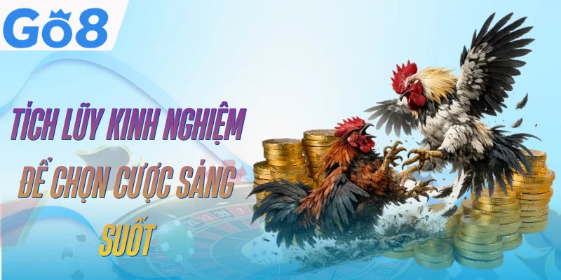 Đá Gà Thomo GO8 | Sân Chơi Chọi Kê Kịch Tính Top 1 5 da-ga-thomo-go8-bi-kip