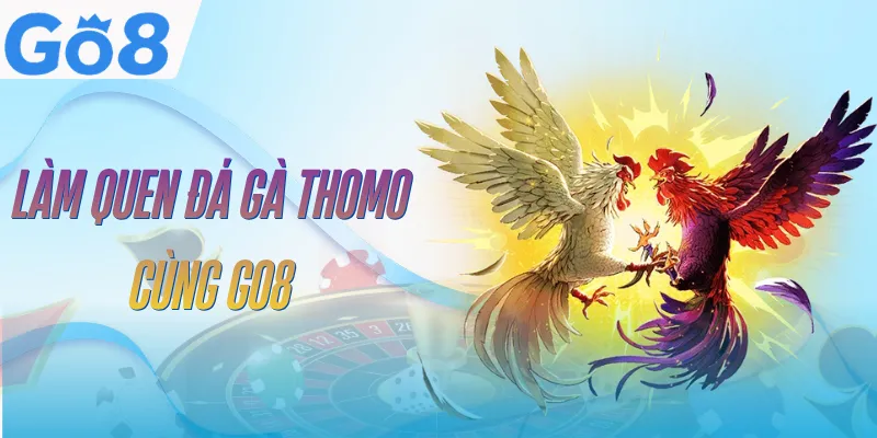 Đá Gà Thomo GO8 | Sân Chơi Chọi Kê Kịch Tính Top 1 2 da-ga-thomo-go8-tong-quan