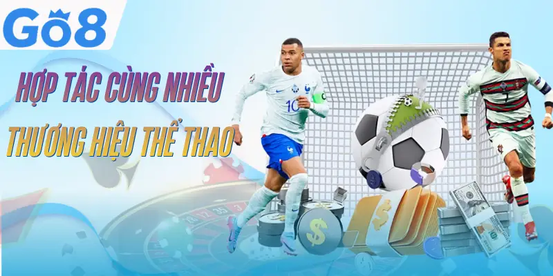 Thể Thao GO8 - 3 Bộ Môn Cá Cược Sôi Động Nhất Thị Trường 2 the-thao-go8-nha-phat-hanh